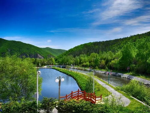 炎熱酷暑，快到森林里清涼一下吧——揭秘森林旅游項(xiàng)目的開(kāi)發(fā)之道